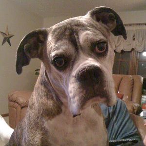 Meet your Posher, Eric andrea